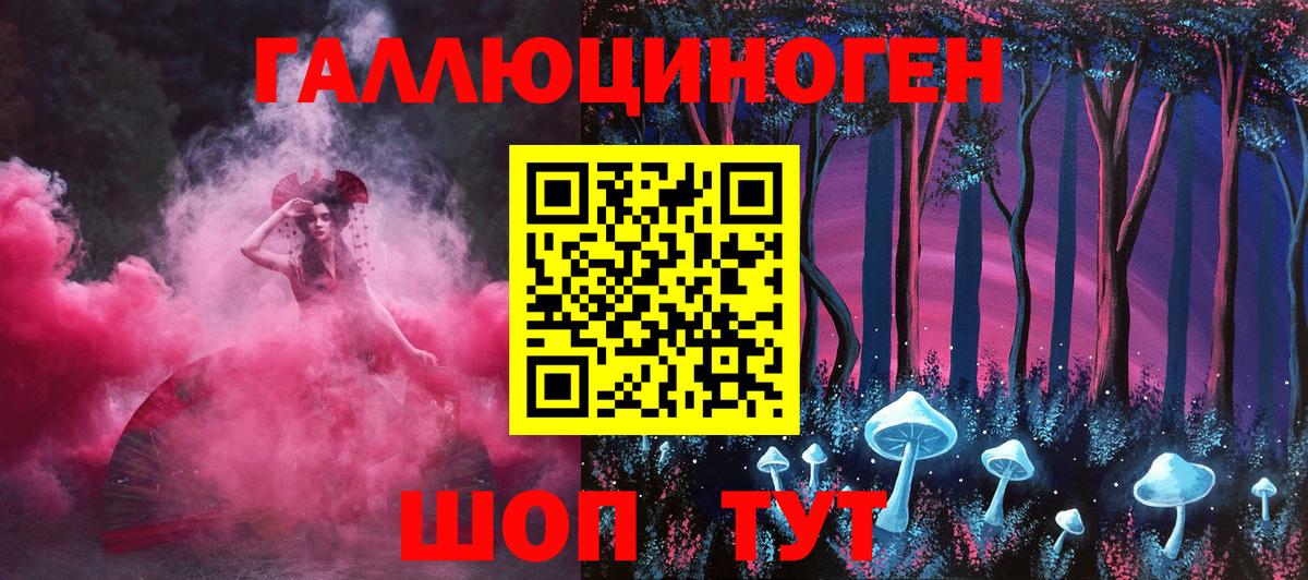 Галлюциногенные грибы Psilocybe Ялта