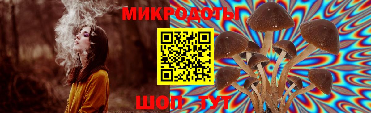 Псилоцибиновые грибы прущие грибы  Вход с VPN  Ялта 